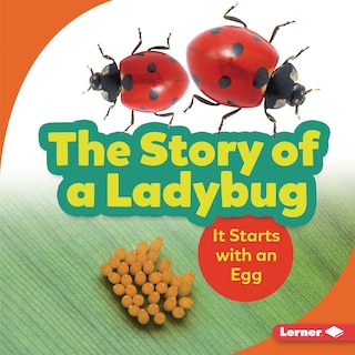 Couverture_The Story of a Ladybug