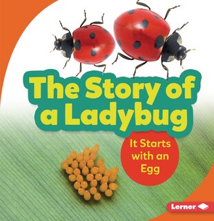 Couverture_The Story of a Ladybug