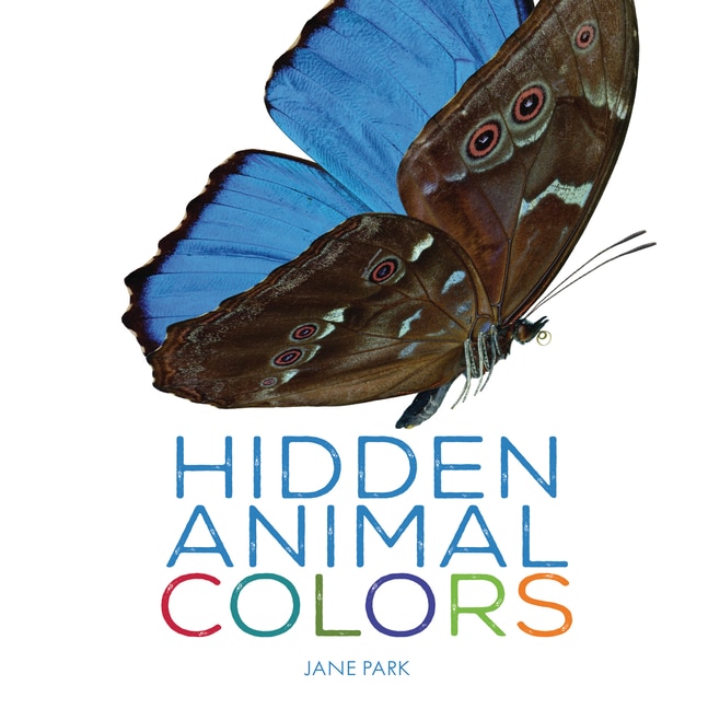 Front cover_Hidden Animal Colors