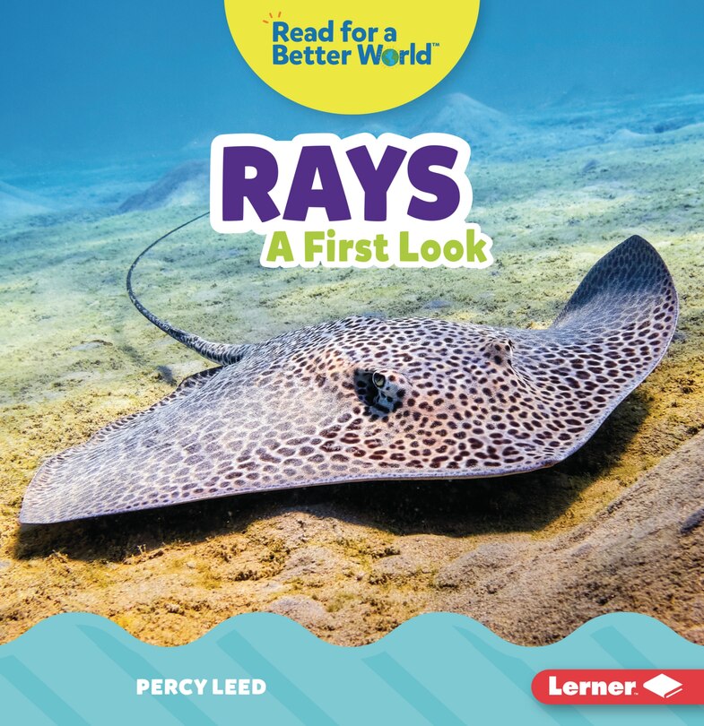 Front cover_Rays