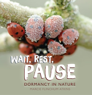 Front cover_Wait, Rest, Pause