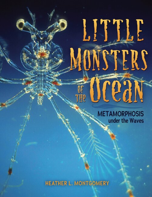 Couverture_Little Monsters of the Ocean