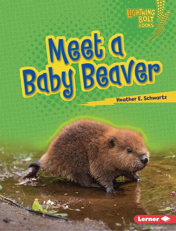 Couverture_Meet a Baby Beaver