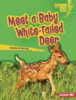 Couverture_Meet a Baby White-Tailed Deer