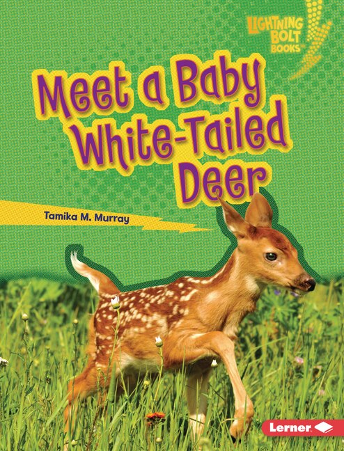 Couverture_Meet a Baby White-Tailed Deer