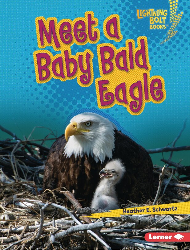Couverture_Meet a Baby Bald Eagle