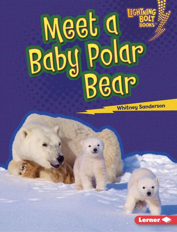 Front cover_Meet a Baby Polar Bear