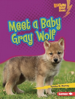 Couverture_Meet a Baby Gray Wolf