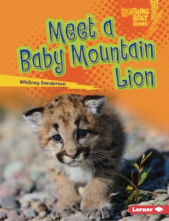 Front cover_Meet a Baby Mountain Lion