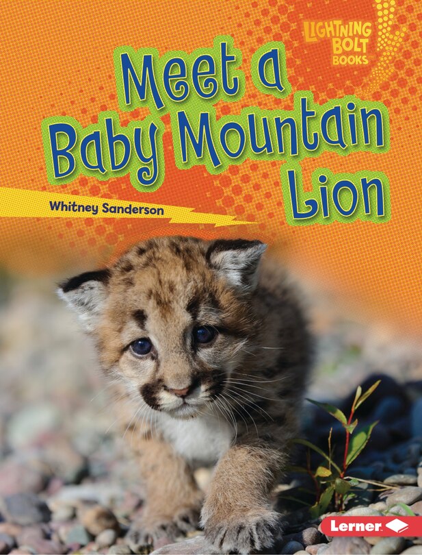 Front cover_Meet a Baby Mountain Lion
