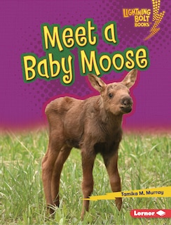 Couverture_Meet a Baby Moose