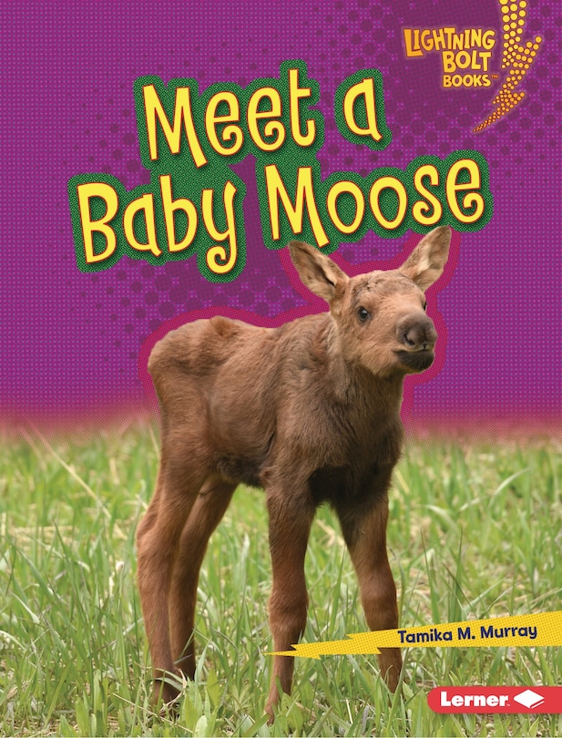 Couverture_Meet a Baby Moose