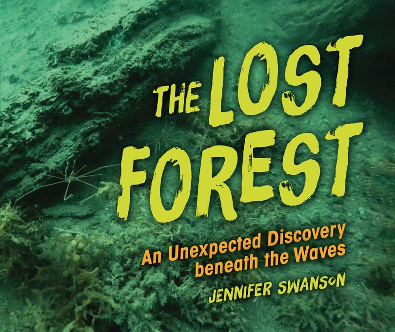 Front cover_The Lost Forest