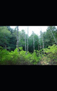 Front cover_The Hunting Game