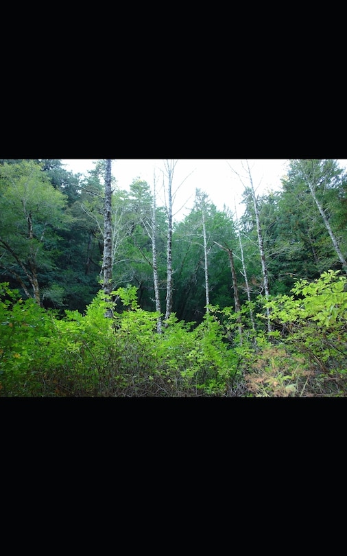 Front cover_The Hunting Game