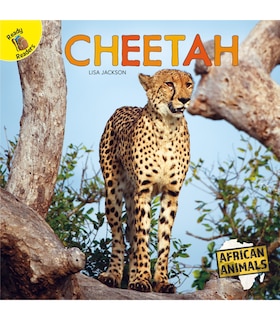 Front cover_Cheetah