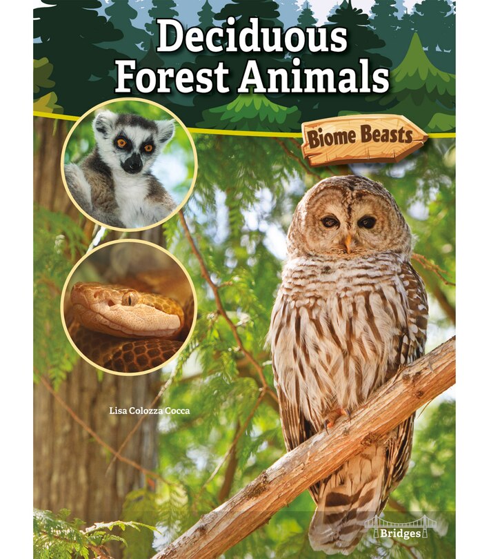 Front cover_Deciduous Forest Animals