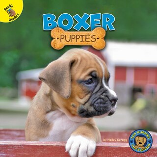 Front cover_Boxer Puppies