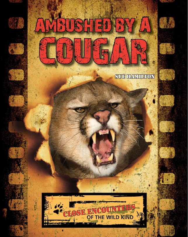 Couverture_Ambushed by a Cougar