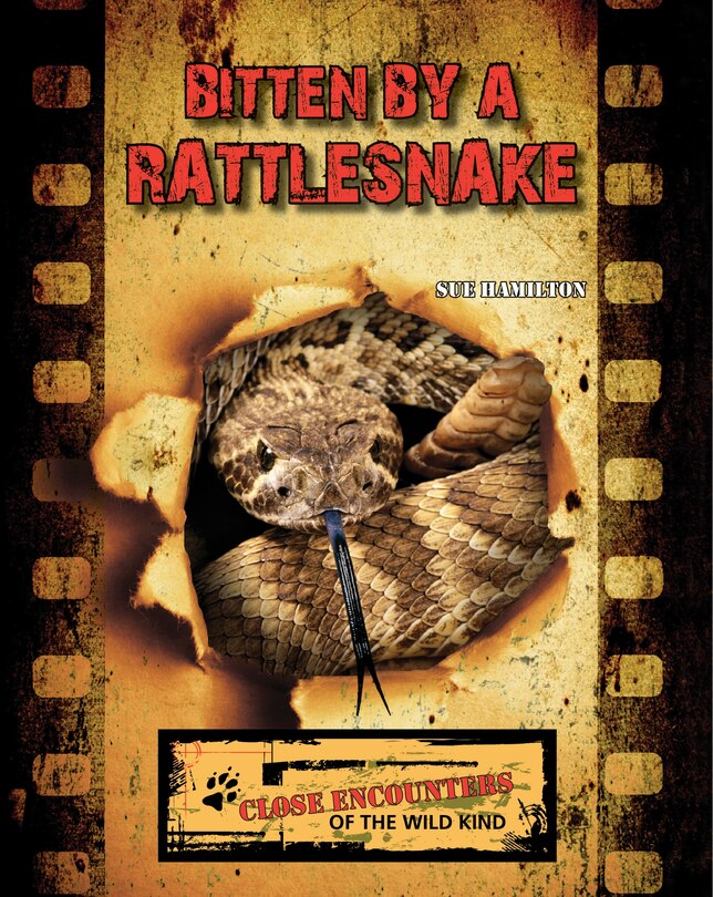 Front cover_Bitten by a Rattlesnake