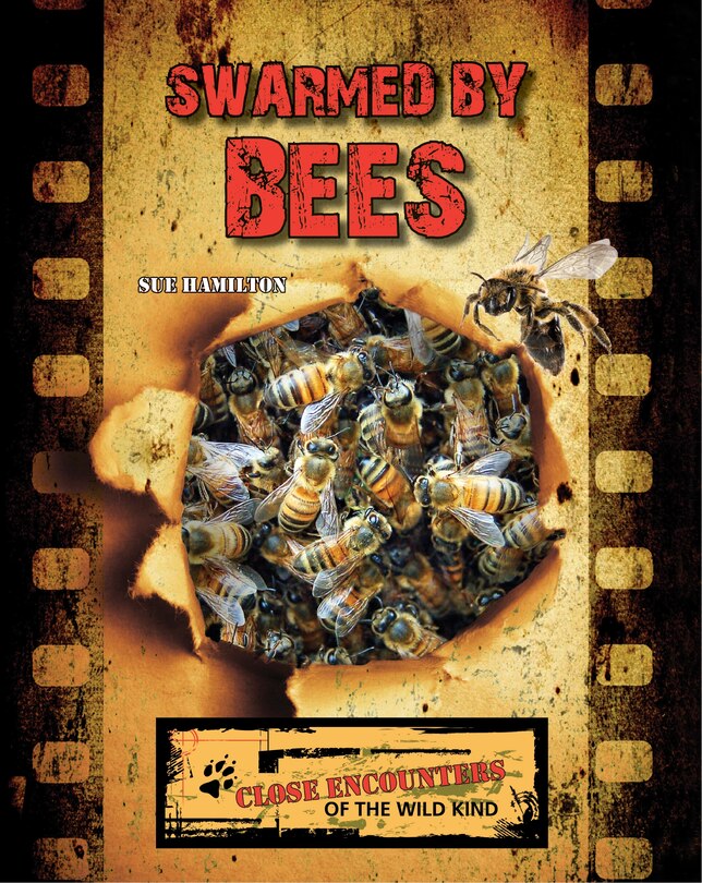Front cover_Swarmed by Bees