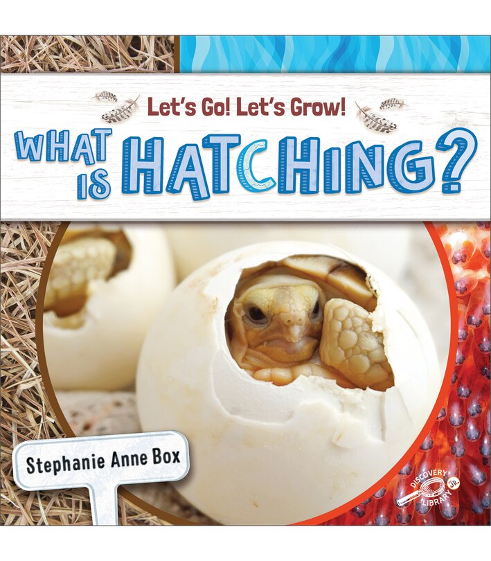 Front cover_What Is Hatching?