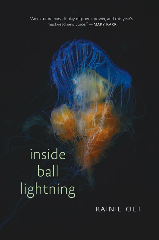 Couverture_Inside Ball Lightning
