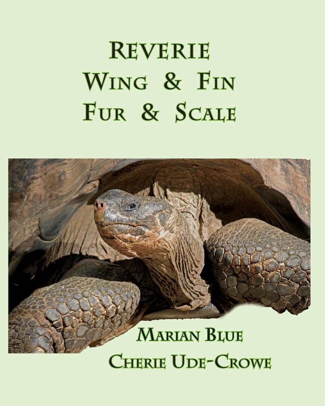 Front cover_Reverie Wing & Fin Fur & Scale