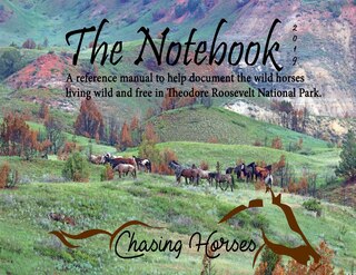 Couverture_The Notebook