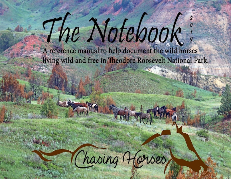 Couverture_The Notebook