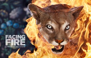 Front cover_Facing Fire