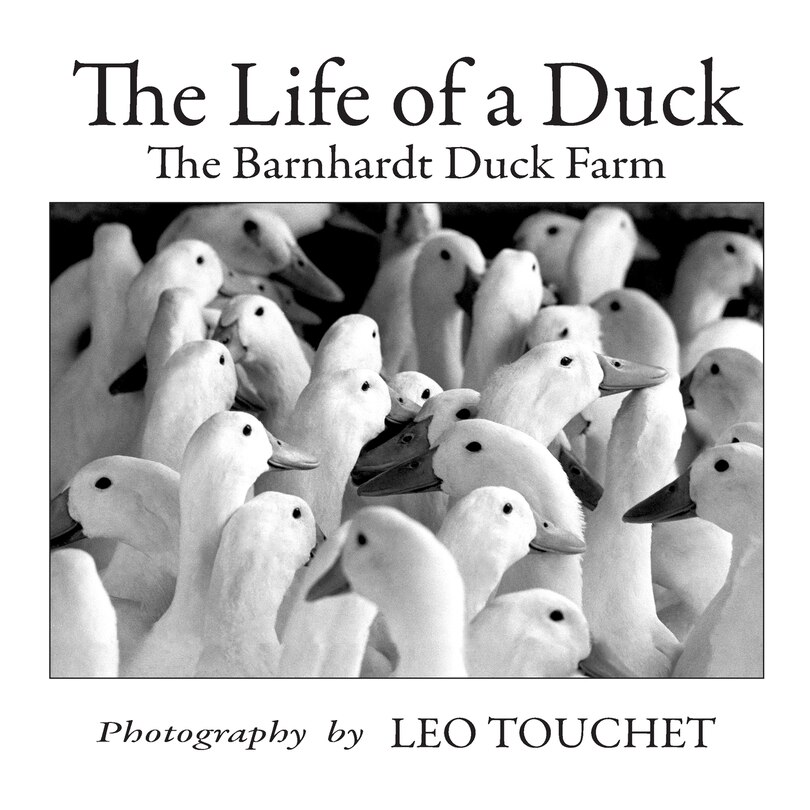 Front cover_The Life of a Duck