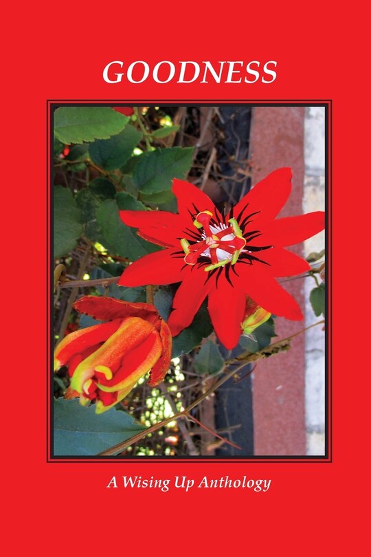 Front cover_Goodness, A Wising Up Anthology