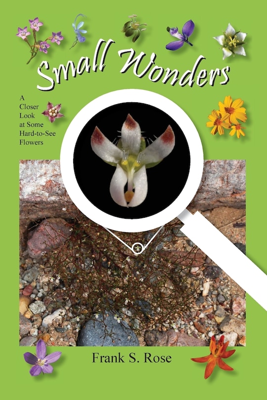 Front cover_Small Wonders