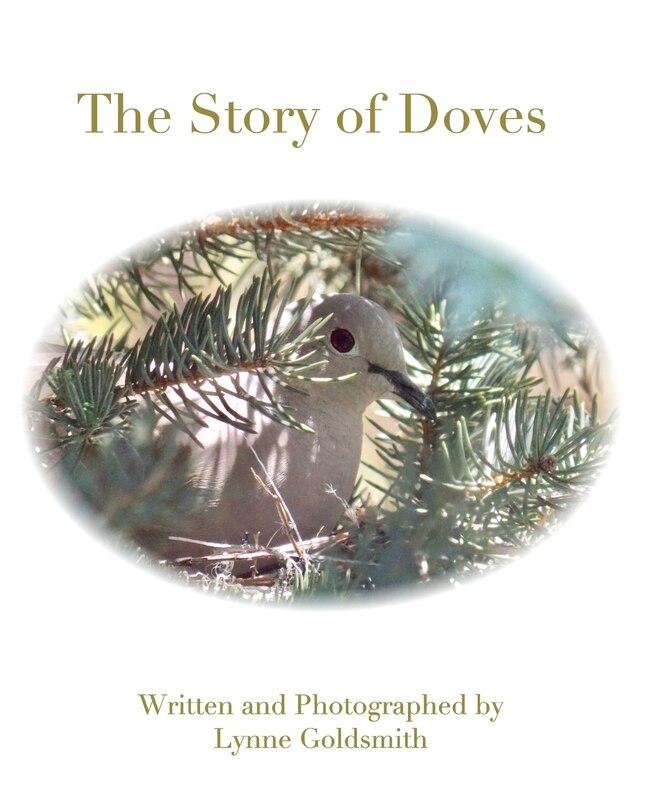 Couverture_The Story Of Doves
