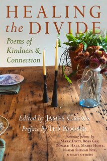 Couverture_Healing The Divide