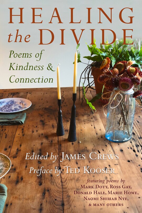 Couverture_Healing The Divide