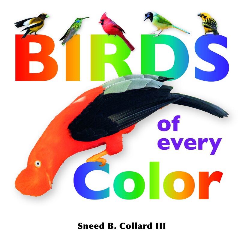 Couverture_Birds of Every Color