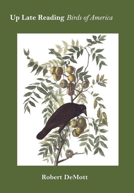 Front cover_Up Late Reading Birds of America