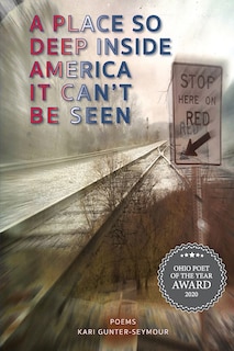 Couverture_A Place So Deep Inside America It Can't Be Seen