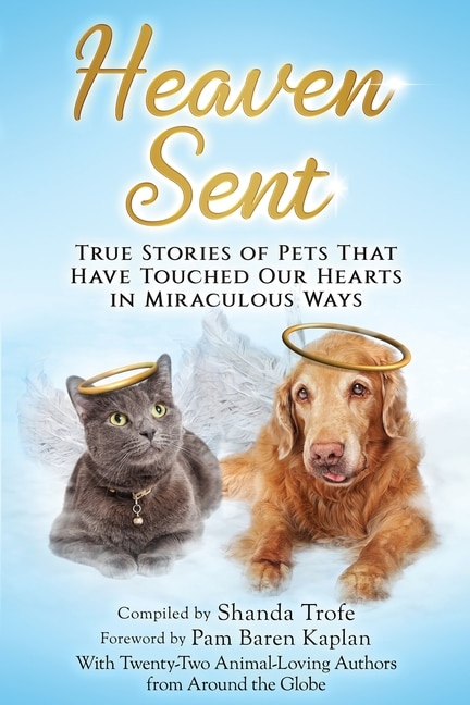 Couverture_Heaven Sent
