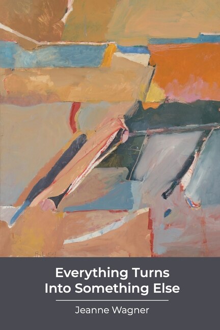 Couverture_Everything Turns Into Something Else