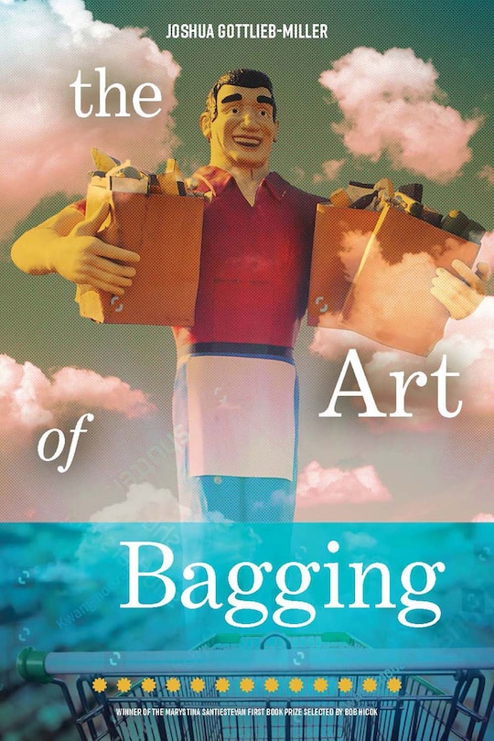 Front cover_The Art of Bagging