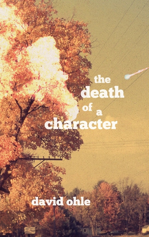 Couverture_The Death of a Character