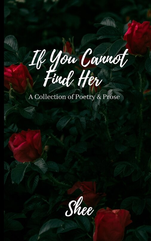 Couverture_If You Cannot Find Her