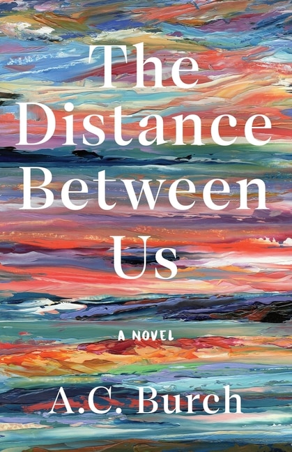 Couverture_The Distance Between Us