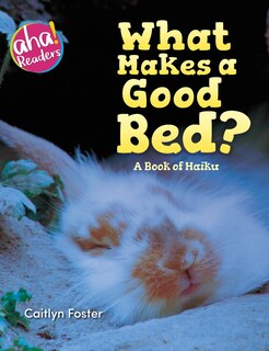 Front cover_What Makes a Good Bed?