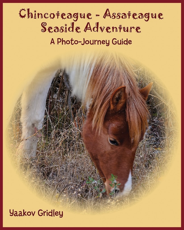 Couverture_Chincoteague-Assateague Seaside Adventure
