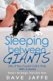 Couverture_Sleeping between Giants