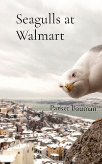 Front cover_Seagulls at Walmart